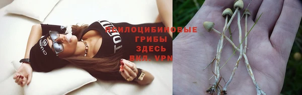 наркотики Алексеевка