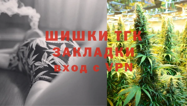 МДПВ Вяземский