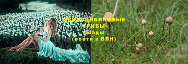 не бодяженный Алзамай