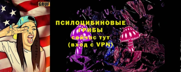 спиды Абаза
