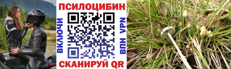 Галлюциногенные грибы GOLDEN TEACHER  Никольское 