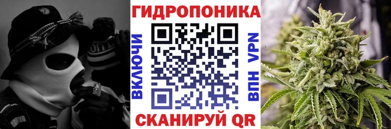 shop клад  хочу   Никольское  Шишки марихуана тримм 